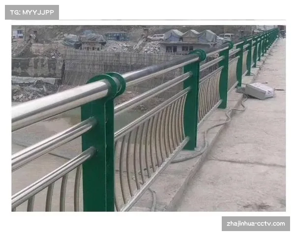 连续金属防挤压护栏成硬性要求，德甲球场安全标准升级